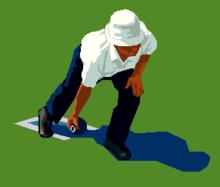 Image 1 for Bowls Club Anecdotes