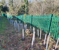 Click for a larger image of Environmental Improvements