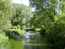 Image 1 for Warminster Copheap and Wylye